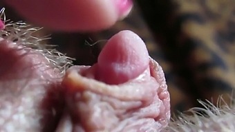 Intense Close-Up Of My Large Clitoris Head Throbbing During Sex