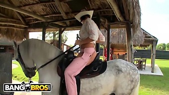 Rachel Starr'S Impressive Riding Skills On A Horse And Cock